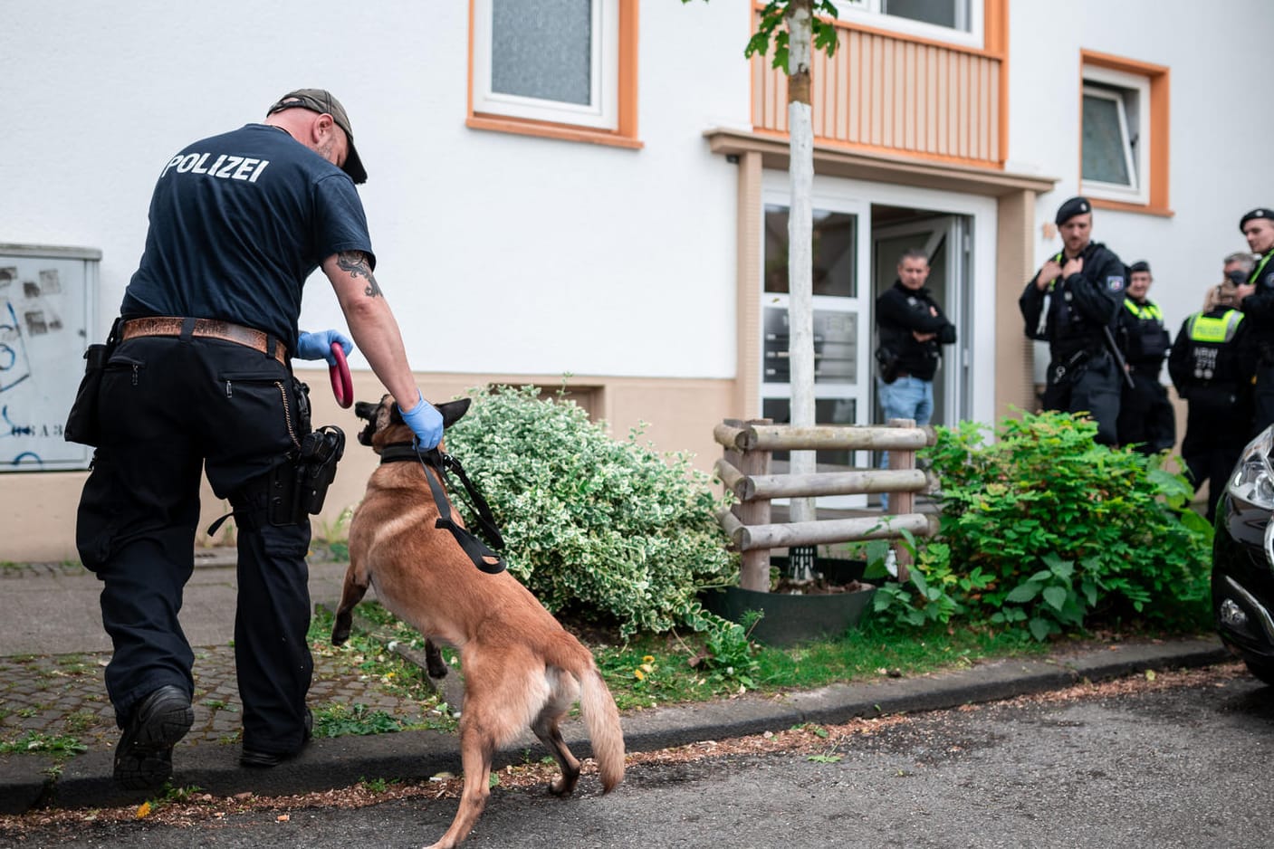 Ein Polizist mit Spürhund vor Wohnhaus des Tatverdächtigen: Bei dem 16-Jährigen wurden mehrere Waffen gefunden. Ein Polizist mit Spürhund vor Wohnhaus des Tatverdächtigen: Bei dem 16-Jährigen wurden mehrere Waffen gefunden.