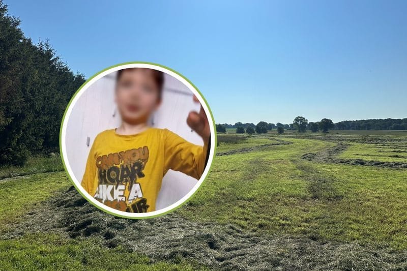 Arian wurde mehr als zwei Monate nach seinem Verschwinden auf einer Wiese gefunden. Arian wurde mehr als zwei Monate nach seinem Verschwinden auf einer Wiese gefunden.