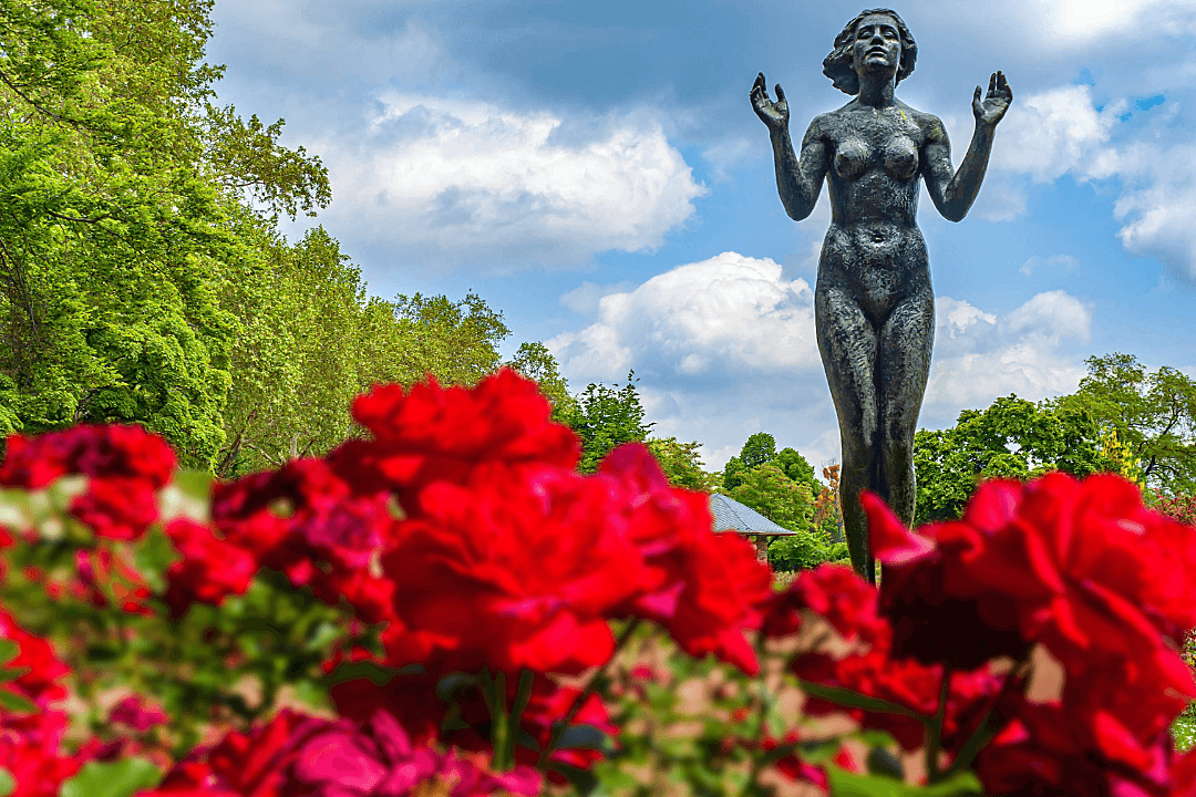 Die Bronzeplastik "Genesung" des deutschen Bildhauer Felix Pfeifer im Rosengarten am Dresdner Königufer. Die Bronzeplastik "Genesung" des deutschen Bildhauer Felix Pfeifer im Rosengarten am Dresdner Königufer.